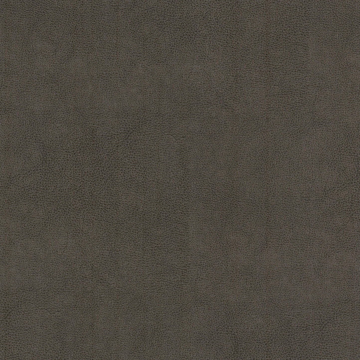 Purchase Stout Fabric Product# Narcissus 1 Shadow