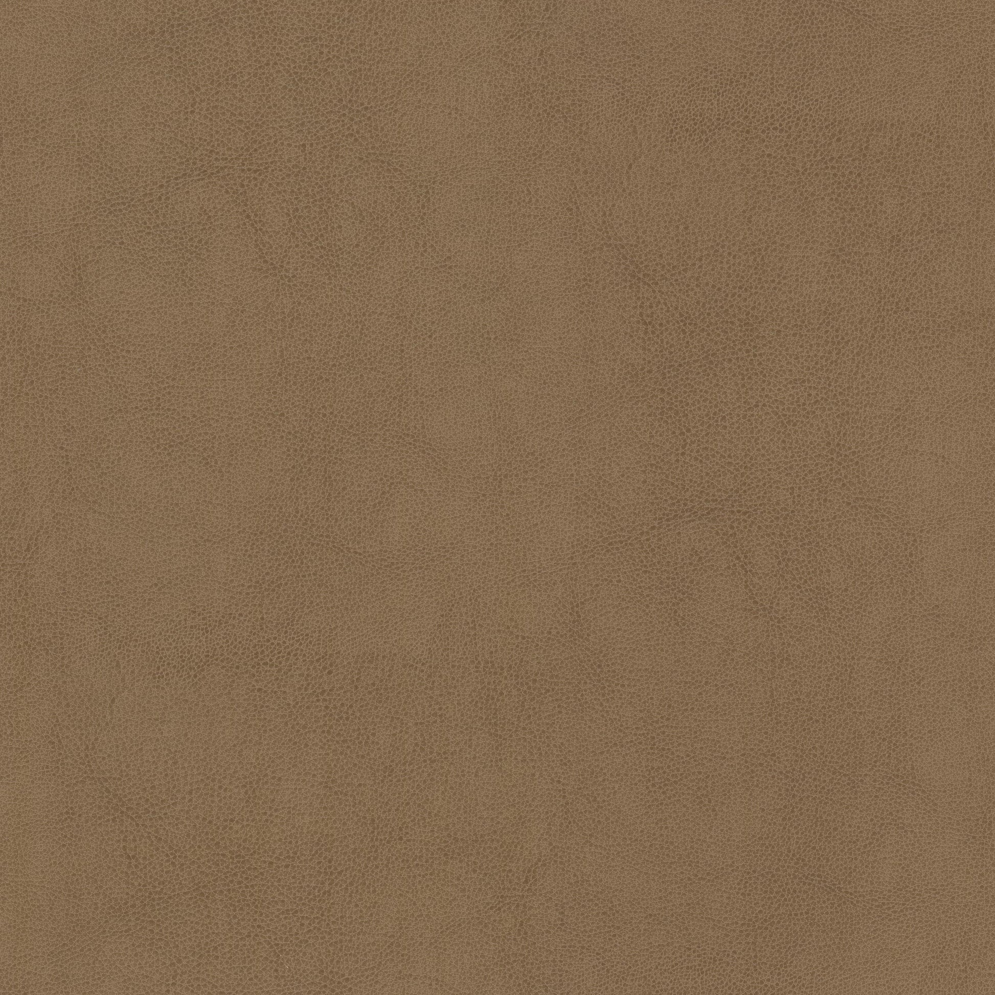 Purchase Stout Fabric SKU# Narcissus 2 Butterum