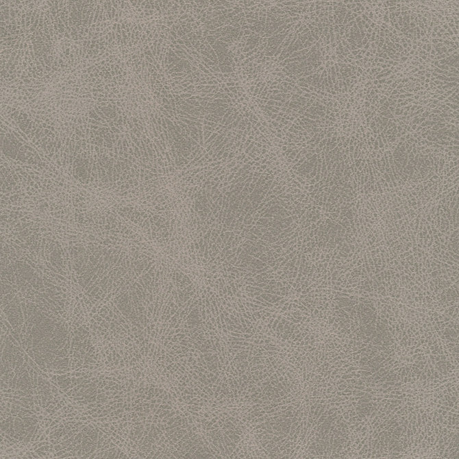 Purchase Maxwell Fabric - Noonday-Nj, # 1029 Aluminum