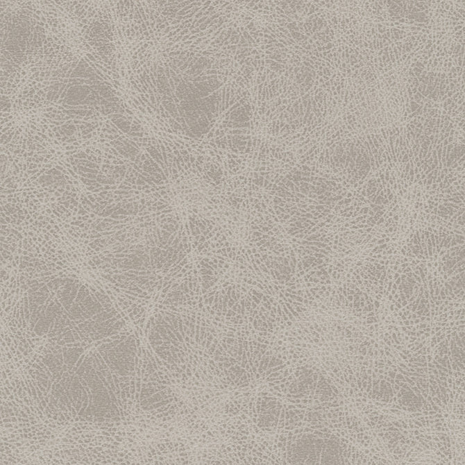 Purchase Maxwell Fabric - Noonday-Nj, # 1031 Icing