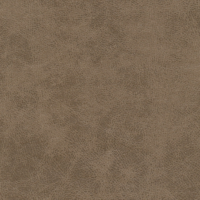 Purchase Maxwell Fabric - Noonday-Nj, # 1034 Desert