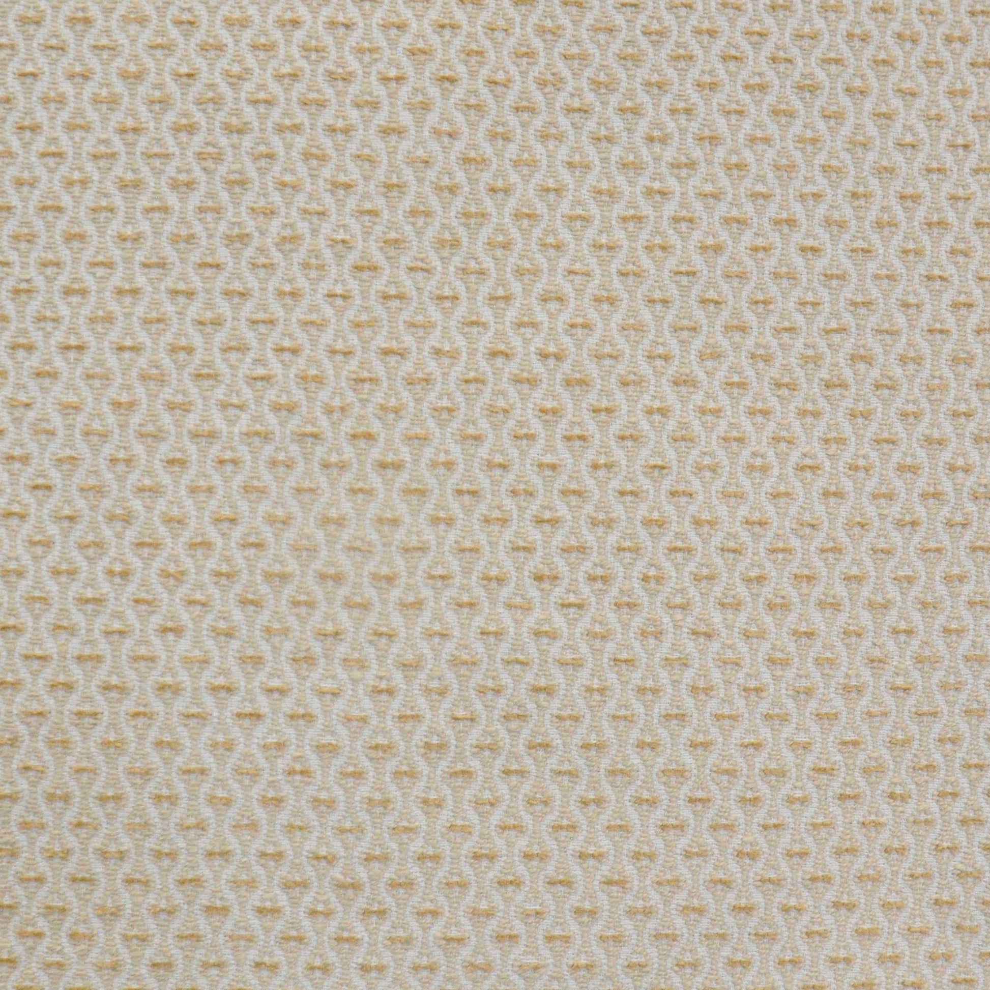 Purchase Maxwell Fabric - Nanette, # 806 Sesame