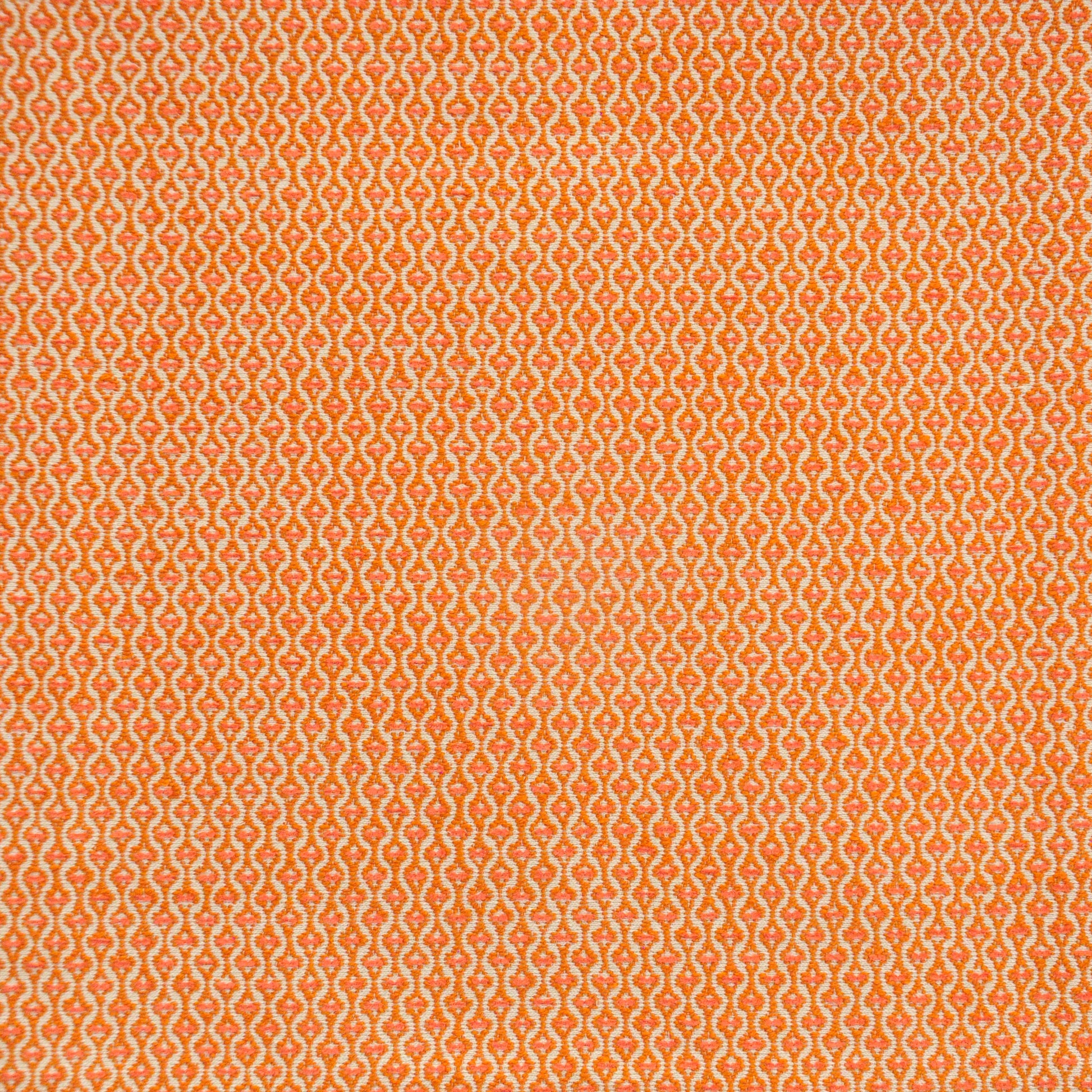 Purchase Maxwell Fabric - Nanette, # 924 Cantaloupe