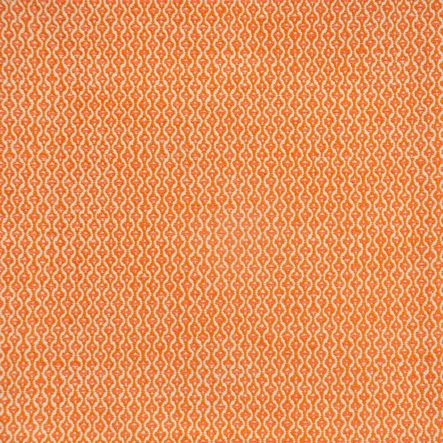 Purchase Maxwell Fabric - Nanette, # 924 Cantaloupe