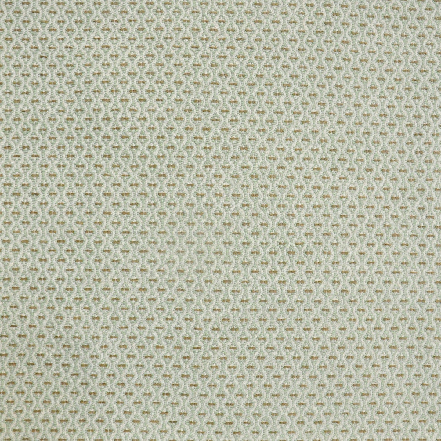 Purchase Maxwell Fabric - Nanette, # 951 Aloe