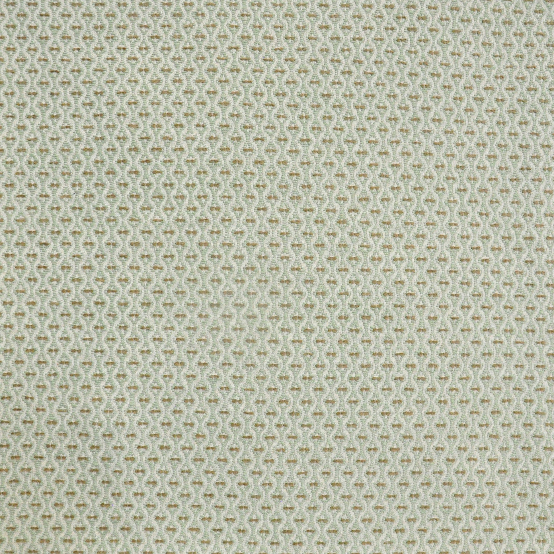 Purchase Maxwell Fabric - Nanette, # 951 Aloe