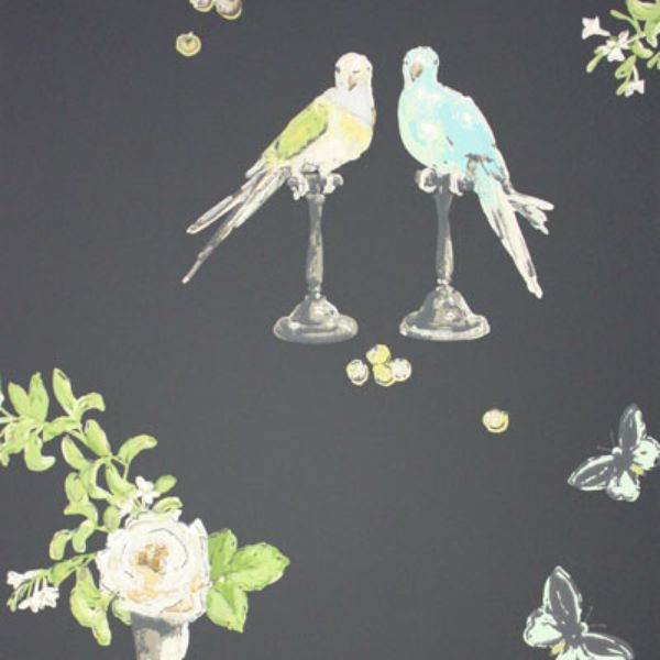 Purchase Ncw3830-04 | Perroquet - Nina Campbell Wallpaper