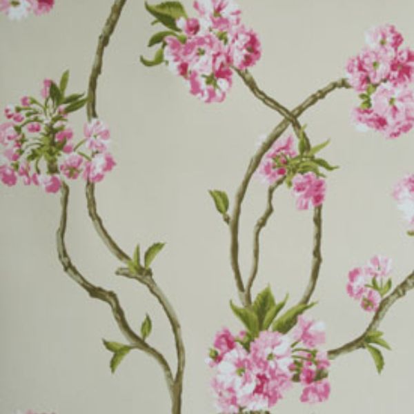 Purchase Ncw4027-01 | Sylvana Orchard Blossom - Nina Campbell Wallpaper