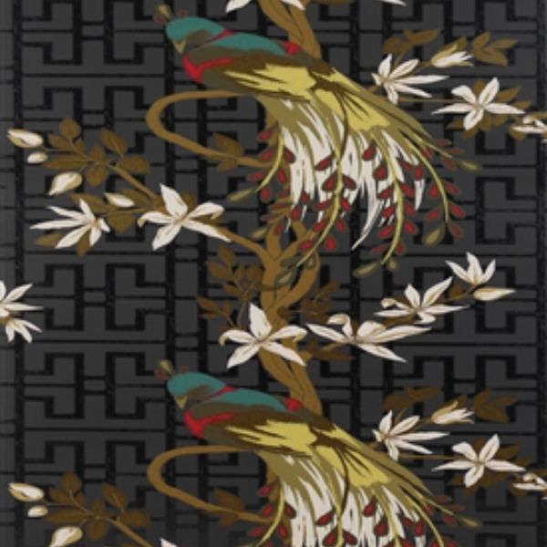 Purchase Ncw4030-05 | Paradiso - Nina Campbell Wallpaper