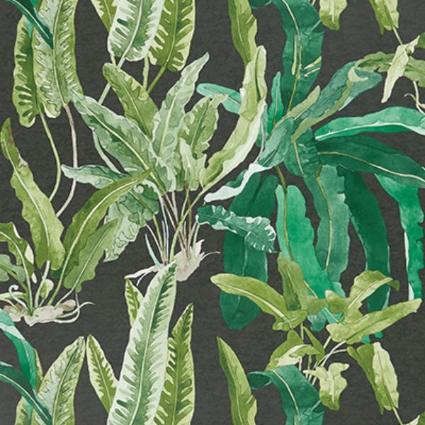 Purchase Ncw4393-01 | Ashdown Benmore Emerald/Green/Ebony - Nina Campbell Wallpaper