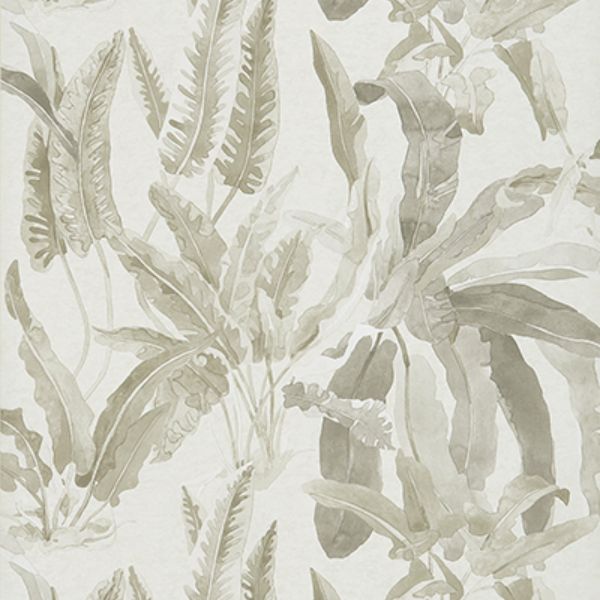 Purchase Ncw4393-05 | Ashdown Benmore Grey/Ivory - Nina Campbell Wallpaper