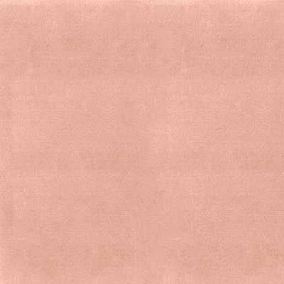 Sample NOVASUEDE.7 Kravet Design Fabric