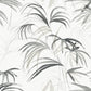 Purchase Nt6123 | Natural Discovery, Inky Black Palms - Candice Olson Wallpaper