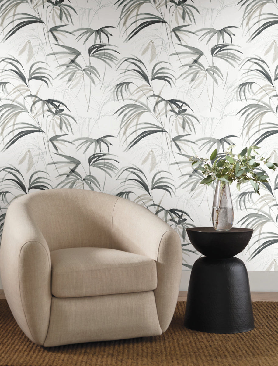 Purchase Nt6123 | Natural Discovery, Inky Black Palms - Candice Olson Wallpaper