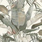 Purchase Nt6131 | Natural Discovery, Tropical White Cabana - Candice Olson Wallpaper