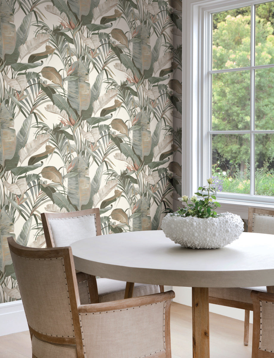 Purchase Nt6131 | Natural Discovery, Tropical White Cabana - Candice Olson Wallpaper