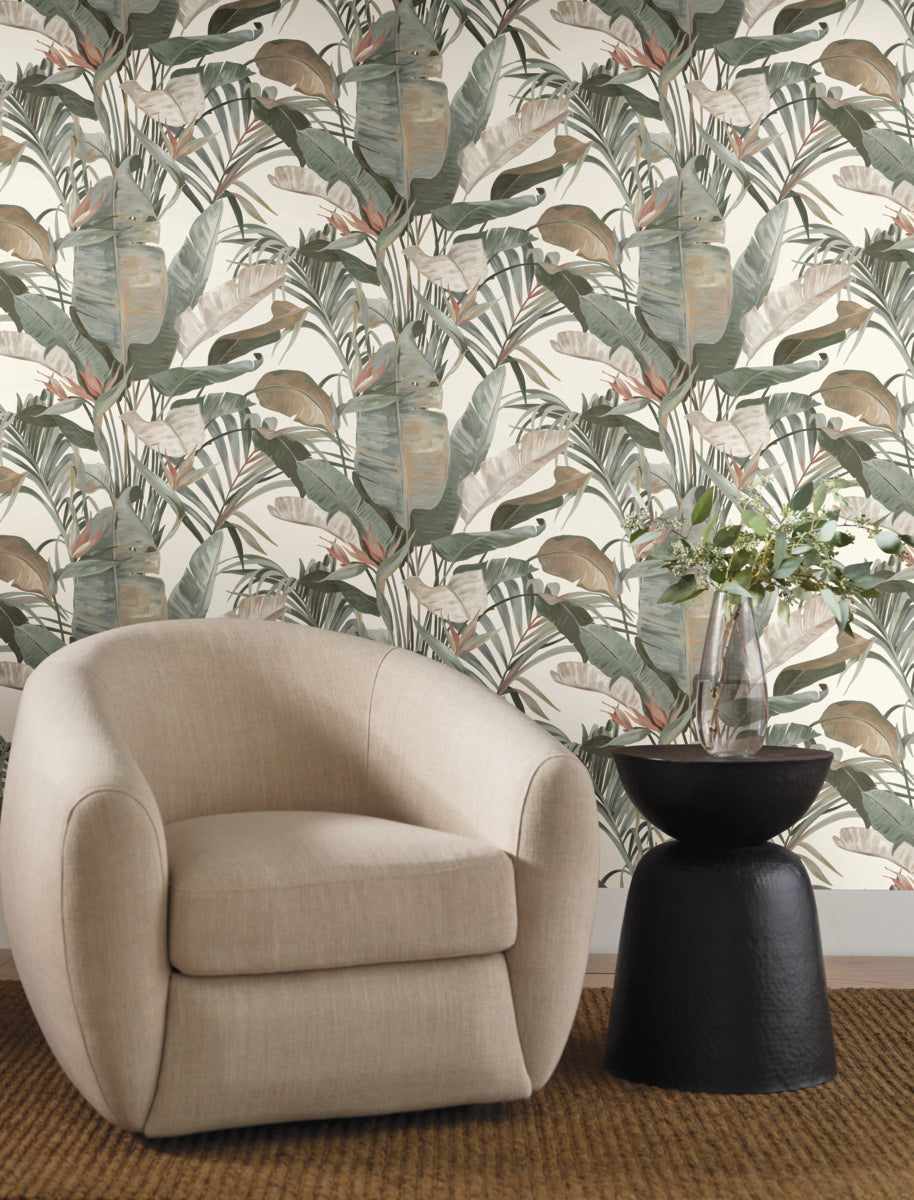 Purchase Nt6131 | Natural Discovery, Tropical White Cabana - Candice Olson Wallpaper