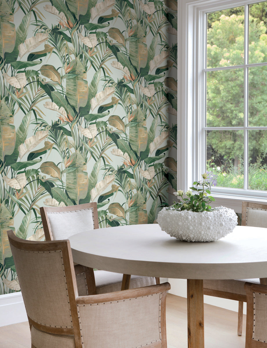 Purchase Nt6134 | Natural Discovery, Tropical Spa Cabana - Candice Olson Wallpaper