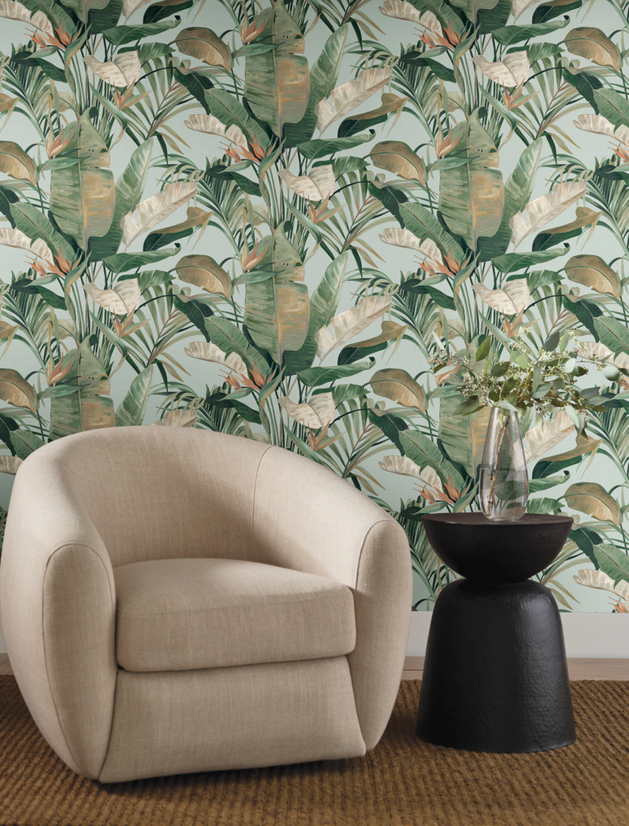 Purchase Nt6134 | Natural Discovery, Tropical Spa Cabana - Candice Olson Wallpaper