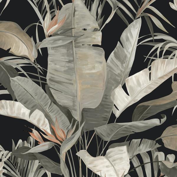 Purchase Nt6135 | Natural Discovery, Tropical Black Cabana - Candice Olson Wallpaper