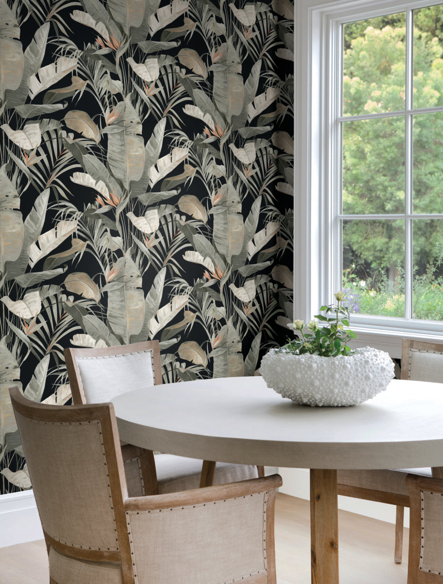 Purchase Nt6135 | Natural Discovery, Tropical Black Cabana - Candice Olson Wallpaper