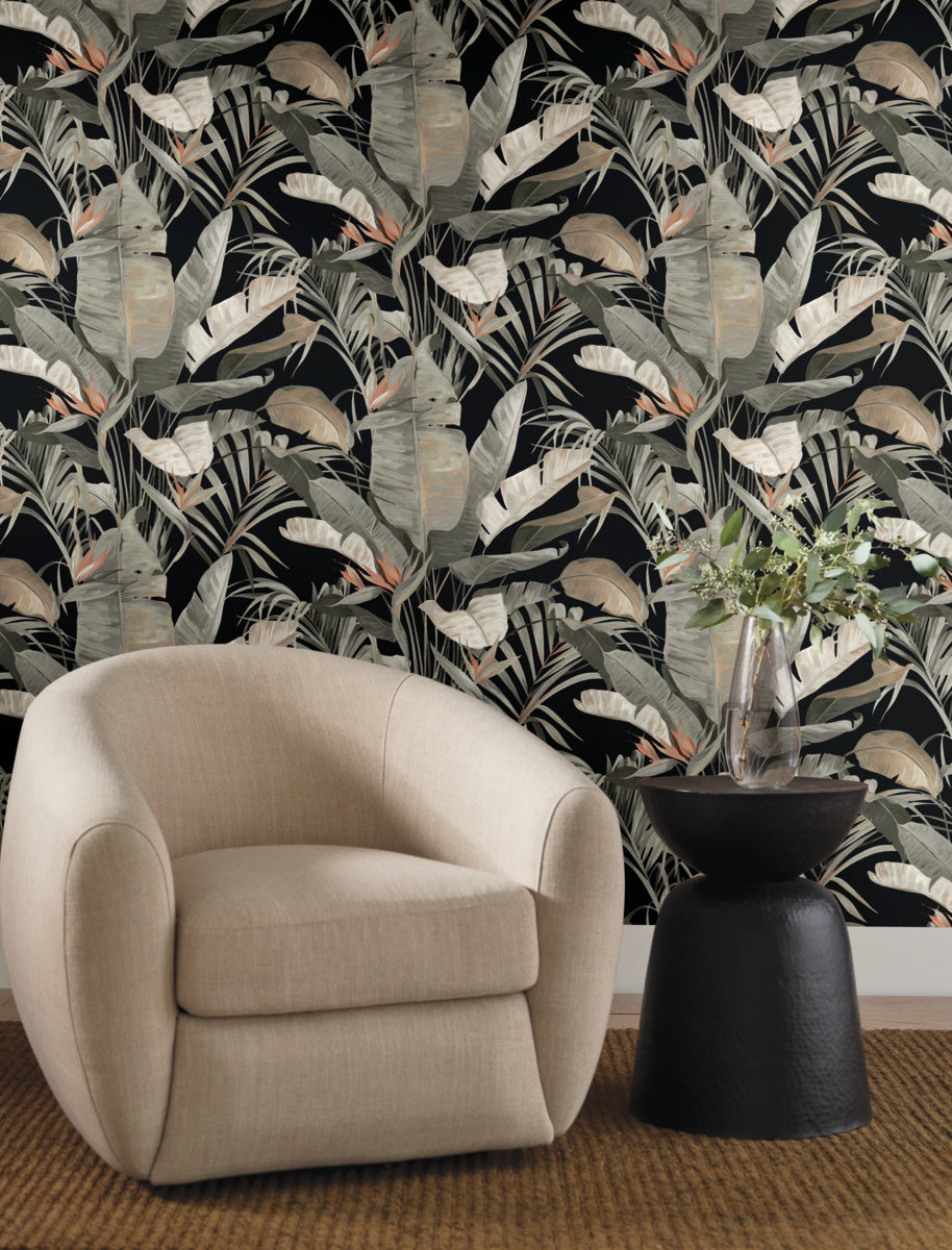 Purchase Nt6135 | Natural Discovery, Tropical Black Cabana - Candice Olson Wallpaper