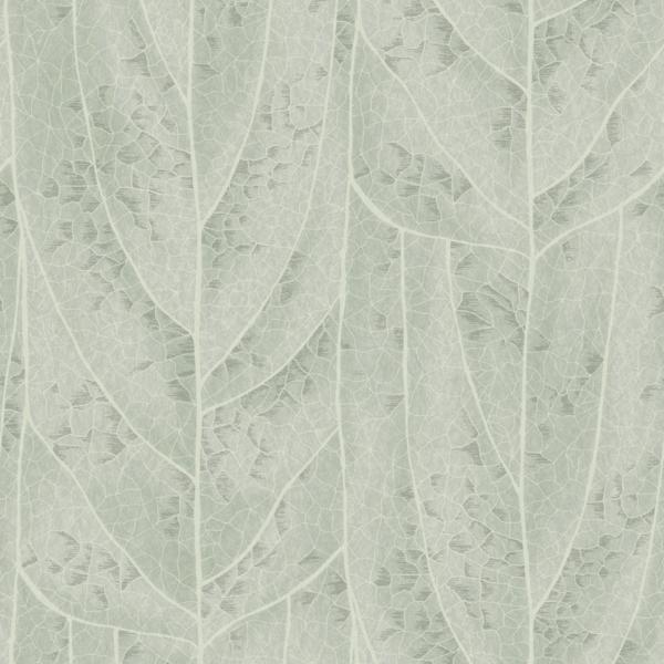 Purchase Nt6141 | Natural Discovery, Dicot Spa Leaf - Candice Olson Wallpaper