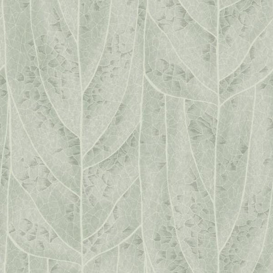 Purchase Nt6141 | Natural Discovery, Dicot Spa Leaf - Candice Olson Wallpaper