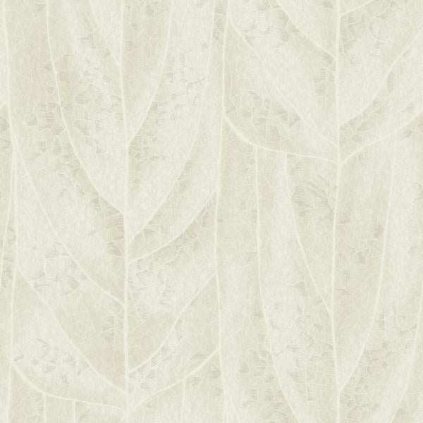 Purchase Nt6143 | Natural Discovery, Dicot Neutral Leaf - Candice Olson Wallpaper