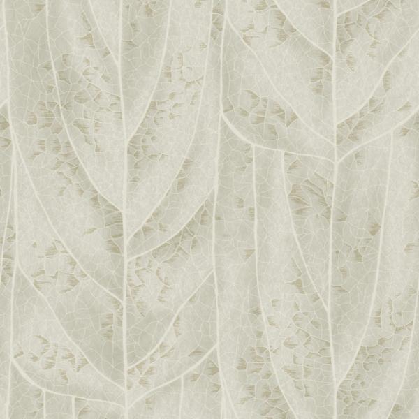 Purchase Nt6144 | Natural Discovery, Dicot Beige Leaf - Candice Olson Wallpaper