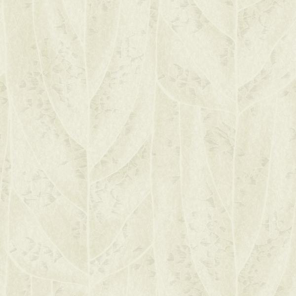 Purchase Nt6145 | Natural Discovery, Dicot Pearl Leaf - Candice Olson Wallpaper