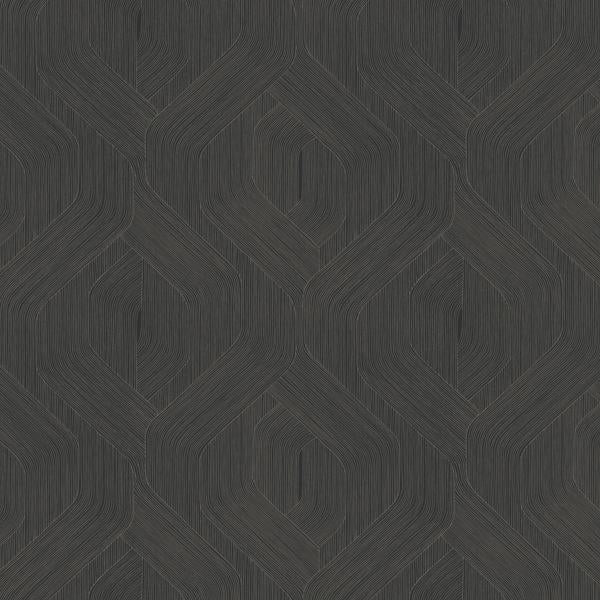 Purchase Nt6192 | Natural Discovery, Fine Line Black Geometric - Candice Olson Wallpaper