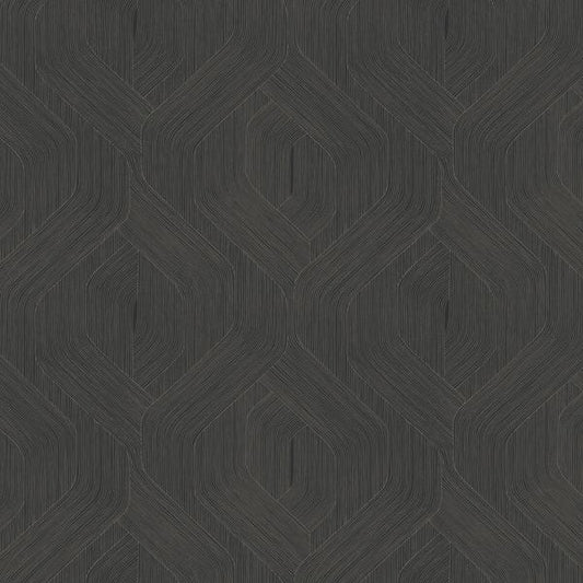 Purchase Nt6192 | Natural Discovery, Fine Line Black Geometric - Candice Olson Wallpaper