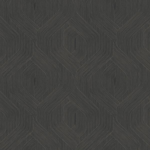 Purchase Nt6192 | Natural Discovery, Fine Line Black Geometric - Candice Olson Wallpaper