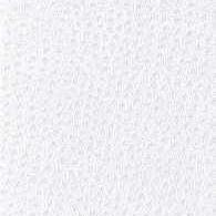 Sample - Nuostrich.101.0 | Kravet Basics,  - Kravet Basics Fabric