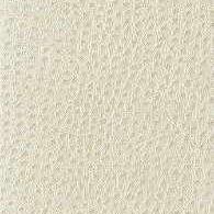Sample - Nuostrich.111.0 | Kravet Basics,  - Kravet Basics Fabric