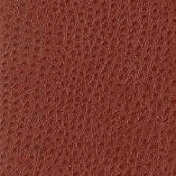 Sample - Nuostrich.24.0 | Kravet Basics,  - Kravet Basics Fabric