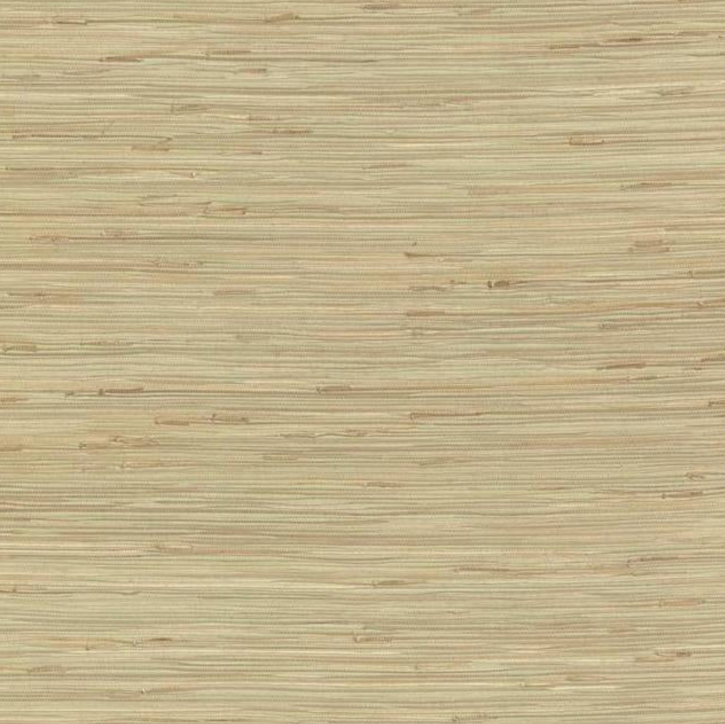 Buy NZ0780 Grasscloth York SEA GRASS color Greens Grasscloth by York Wallpaper