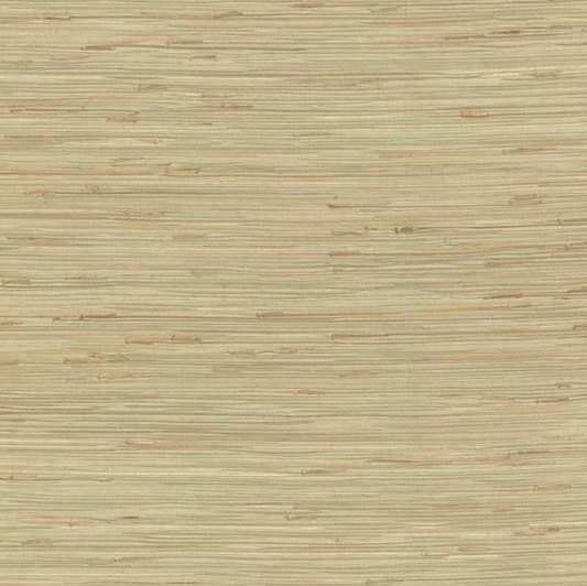 Buy NZ0780 Grasscloth York SEA GRASS color Greens Grasscloth by York Wallpaper