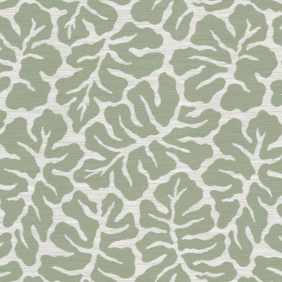 Purchase Stout Fabric SKU Oceanside 2 Aloe