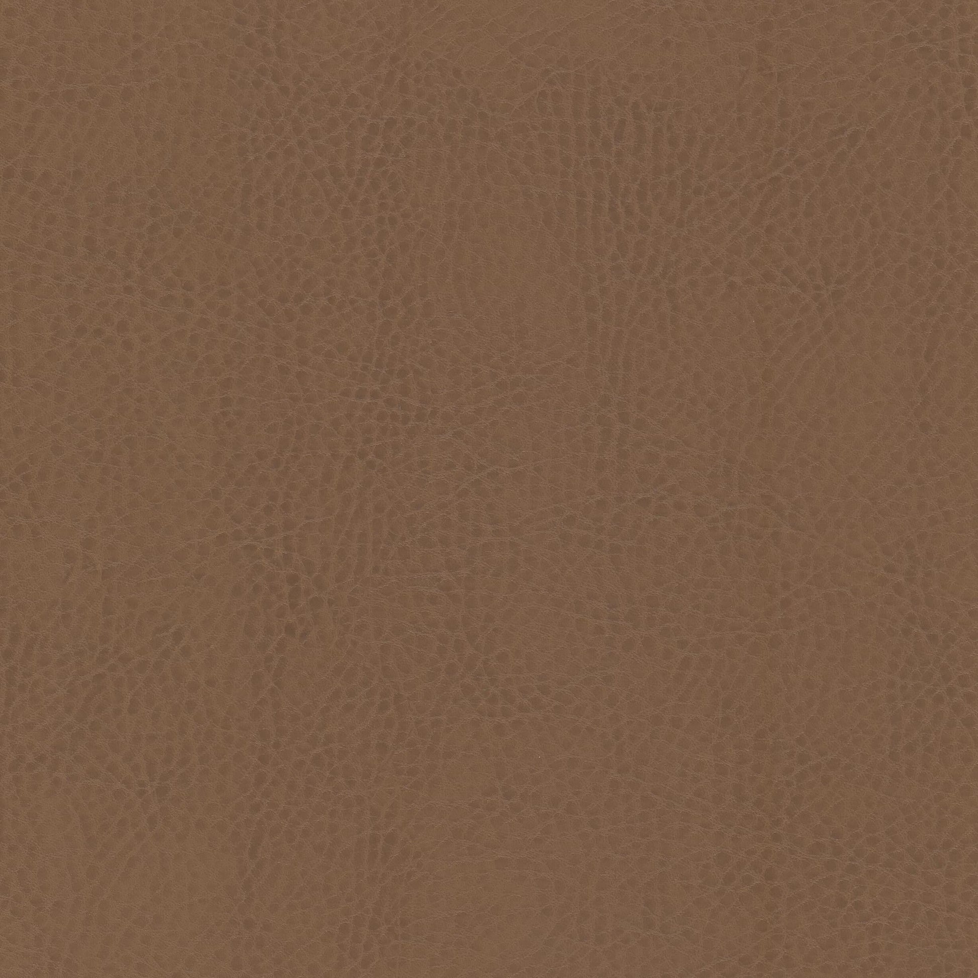 Purchase Stout Fabric Product Odean 5 Saddle