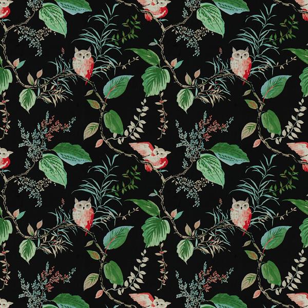 Sample OWLISH.819.0 Owlish Black Black Multipurpose Animal Insects Fabric by Kravet Design