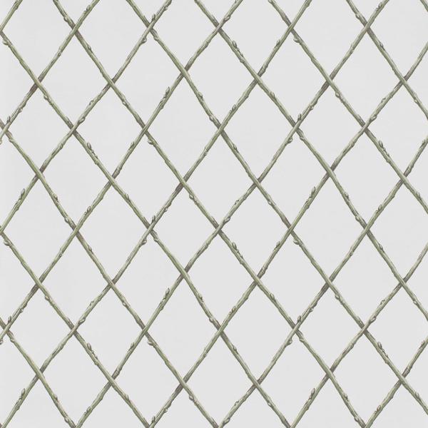 Purchase P2025106-130 Bare Twig Trellis Wp, Green Trellis - Lee Jofa Wallpaper - P2025106.130.0