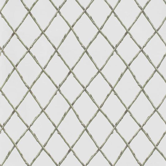Purchase P2025106-130 Bare Twig Trellis Wp, Green Trellis - Lee Jofa Wallpaper - P2025106.130.0