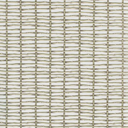 Purchase P2025107-123 Twig Fence Wp, Green Organic Textures - Lee Jofa Wallpaper - P2025107.123.0