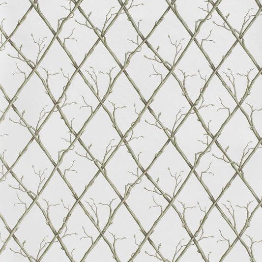 Purchase P2025108-123 Twig Trellis Wp, Green Trellis - Lee Jofa Wallpaper - P2025108.123.0