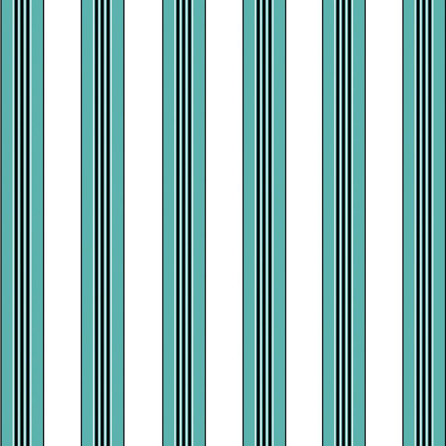 Buy P8015104.513 Rayure Lione Aqua by Brunschwig Fils