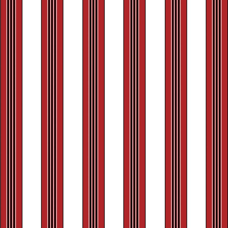 Sample P8015104.9 Rayure Lione Red Brunschwig and Fils