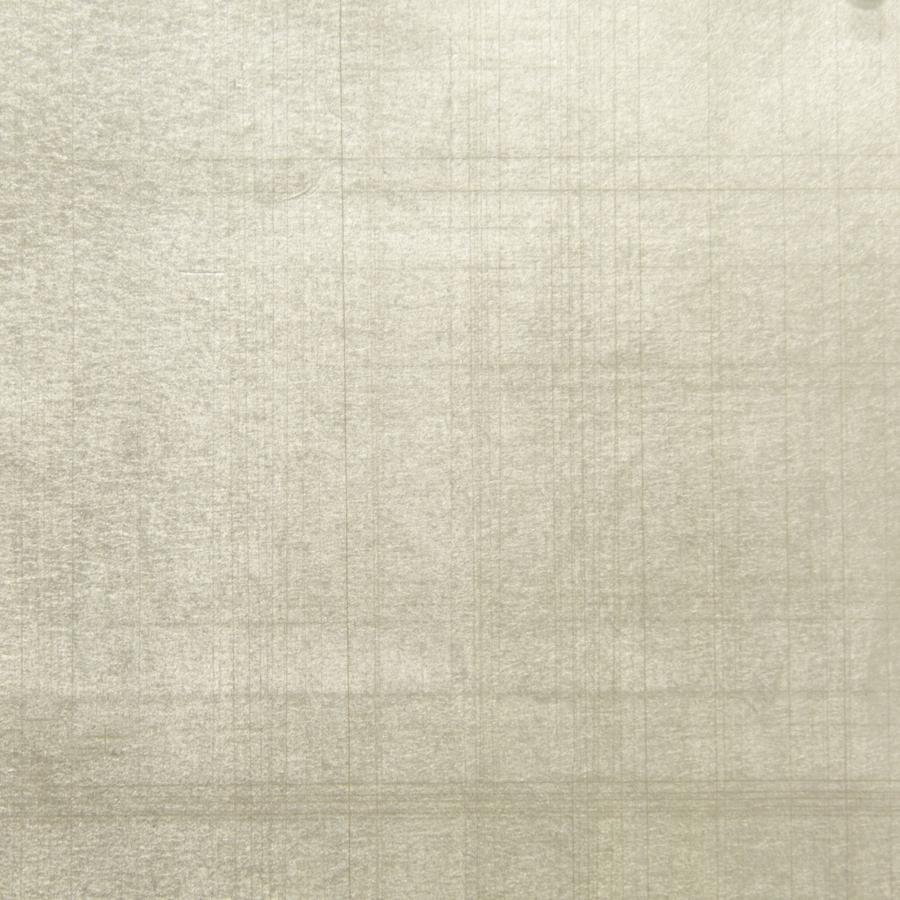 View P8015136.14.0 Takara Grey Special Effects by Brunschwig & Fils Wallpaper