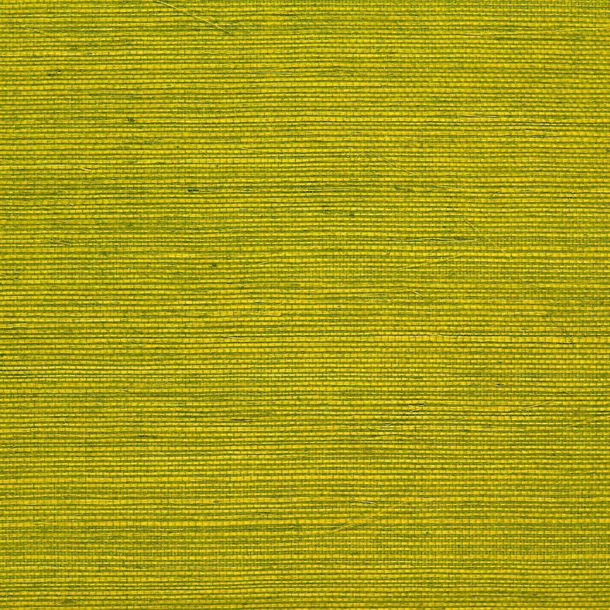 Acquire P8015145.3 Niyodo Chartreuse by Brunschwig Fils
